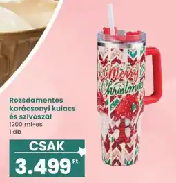 Interspar Rozsdamentes karácsonyi kulacs ajánlat