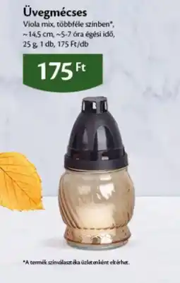EcoFamily Üvegmécse ajánlat
