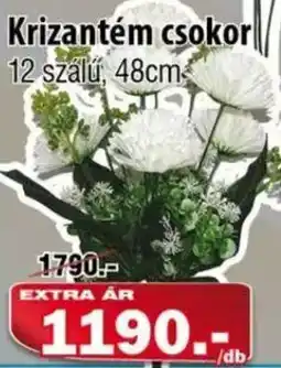 Vianni Drogéria Krizantém csokor ajánlat