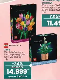 Interspar Virág ajánlat