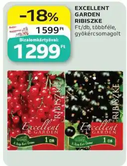 Auchan EXCELLENT GARDEN RIBISZKE ajánlat