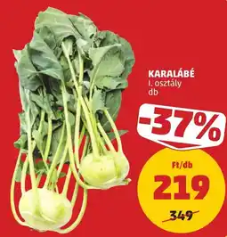 PENNY Karalábé ajánlat