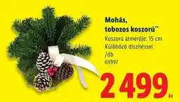 Lidl Mohás, tobozos koszorú ajánlat