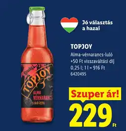Lidl Topjoy ajánlat