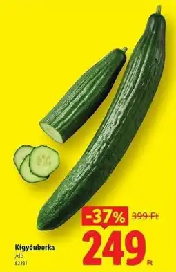 Lidl Kígyóuborka ajánlat