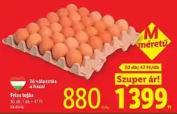 Lidl Friss tojás ajánlat
