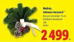 Lidl Mohás, tobozos koszorú ajánlat