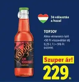 Lidl Topjoy ajánlat