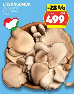 ALDI Laskagomba ajánlat