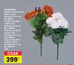 Interspar Krizantém ajánlat