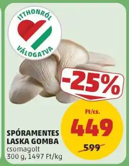PENNY Spóramenetes Laska Gomba ajánlat
