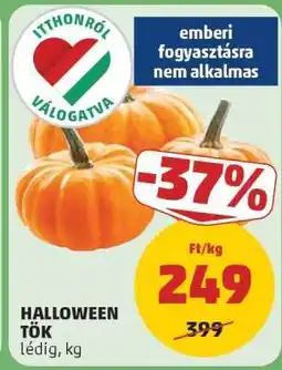 PENNY Halloween tök ajánlat