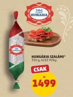 PENNY HUNGARIA SZALÁMI ajánlat