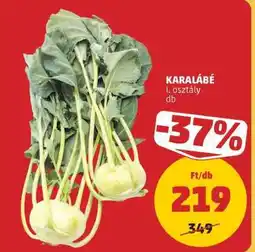 PENNY Karalábé ajánlat