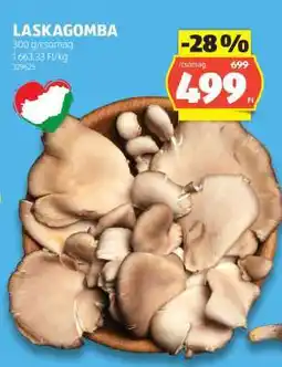 ALDI Laskagomba ajánlat