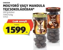 ALDI CHOCEUR Mogyoró vagy Mandula tejcsokoládéban ajánlat