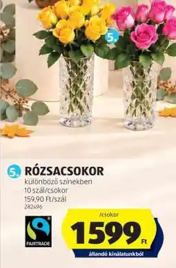 ALDI RÓZSACSOKOR ajánlat