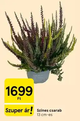 Tesco Színes csarab ajánlat