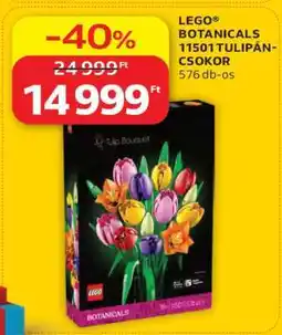 Auchan LEGO BOTANICALS 11501 TULIPÁN-CSOKOR ajánlat