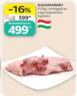 Auchan Kacsafarhát ajánlat