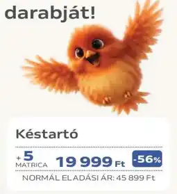 Auchan Késtartó ajánlat