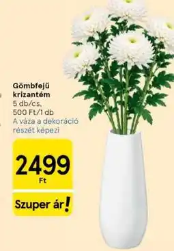 Tesco Gömbfejű krizantém ajánlat