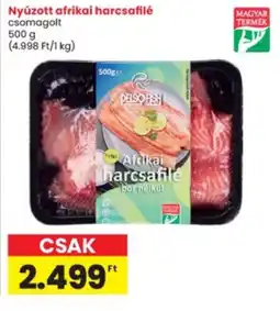 Interspar Delsofish afrikai harcsafilé ajánlat