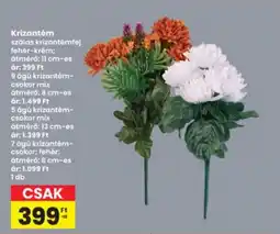 Interspar Krizantém ajánlat