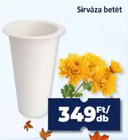 Goods Market Sirváza betét ajánlat