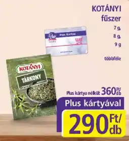PlusMarket Kotányi fűszer ajánlat