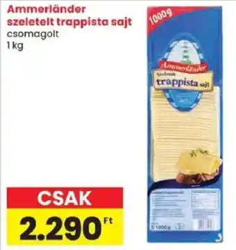 Ammerländer trappista sajt