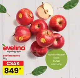 Interspar Evelina alma ajánlat