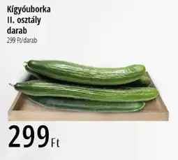Real Kígyóuborka ajánlat