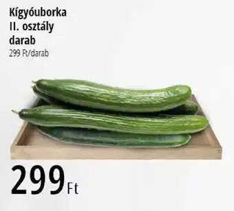 Kígyóuborka