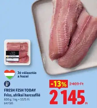 Fresh Fish Today afrikai harcsafilé