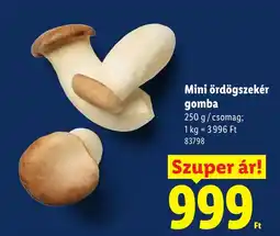 Lidl Mini ördögszekér gomba ajánlat