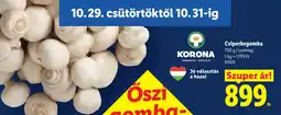 Lidl Korona csiperkegomba ajánlat
