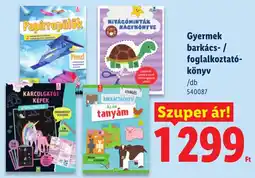 Lidl Gyermek barkács- / foglalkoztató-könyv ajánlat