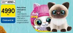 Tesco Pets Alive interaktív cica ajánlat