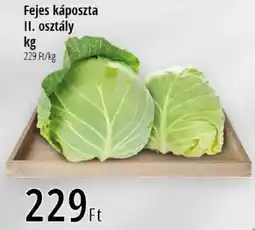 Real Fejes káposzta ajánlat