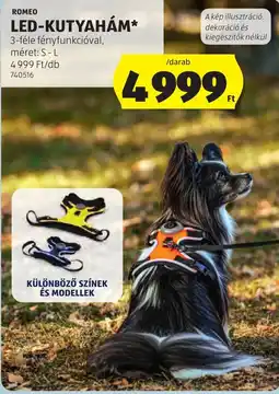 ALDI Romeo led-kutyahám ajánlat