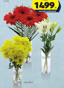 ALDI csokor ajánlat