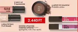 Müller Make Up Factory diverse lipglosse ajánlat