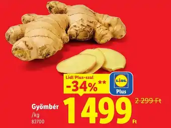 Lidl gyömbér