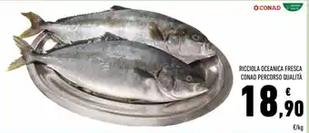 Conad Superstore Ricciola oceanica fresca conad percorso qualitá offerta