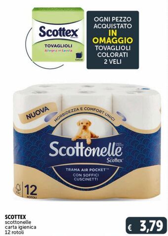 Deco Market Scottex scottonelle carta igienica offerta