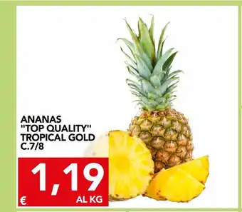 Ananas 'top quality' tropical gold c. 7/8 al kg