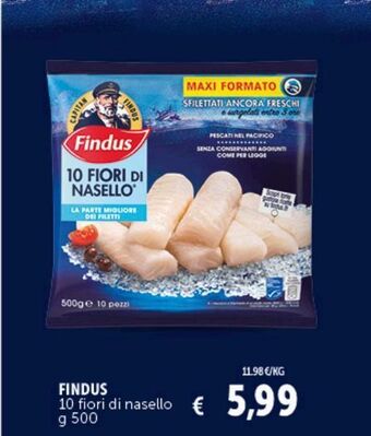 Deco Superstore Findus 10 fiori di nasello g 500 offerta