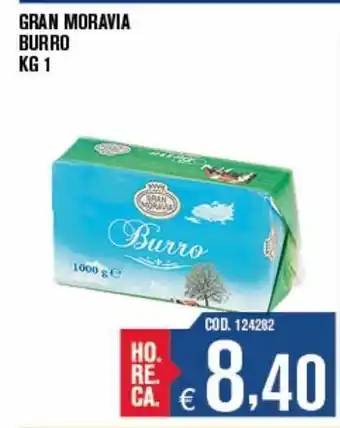 Burro gran moravia