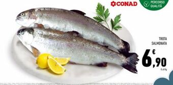 Conad Superstore Trota salmonata offerta